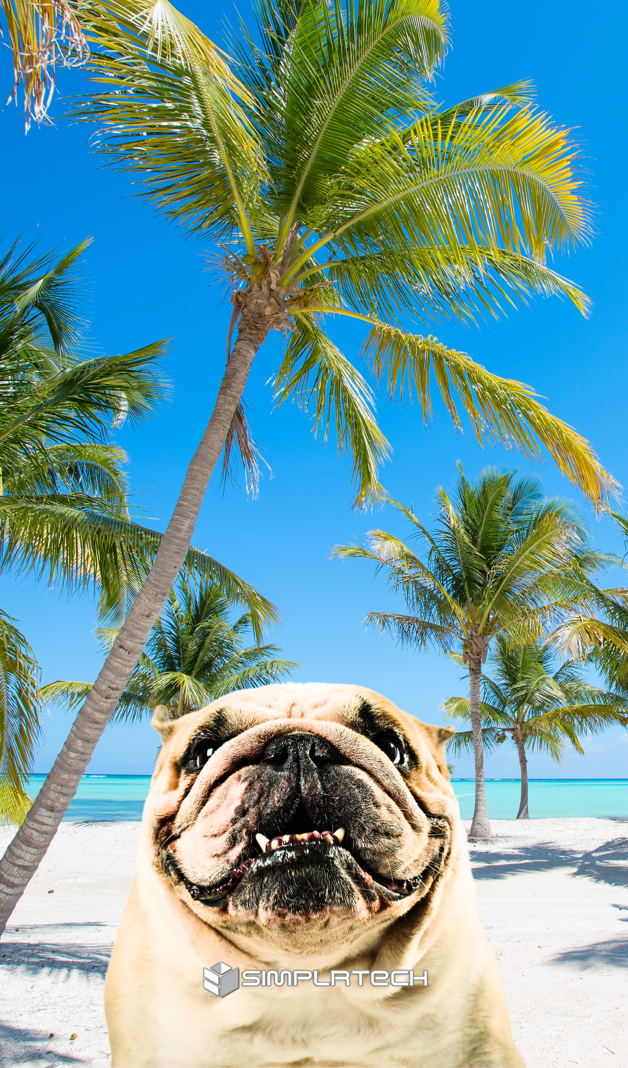 Bark & Relax - Simplrtech Phone Case